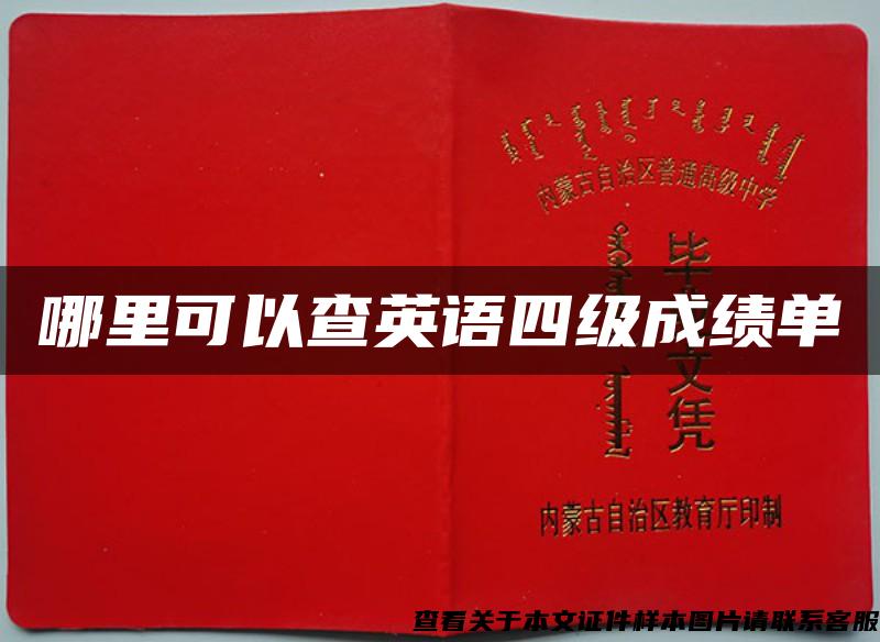 哪里可以查英語四級成績單