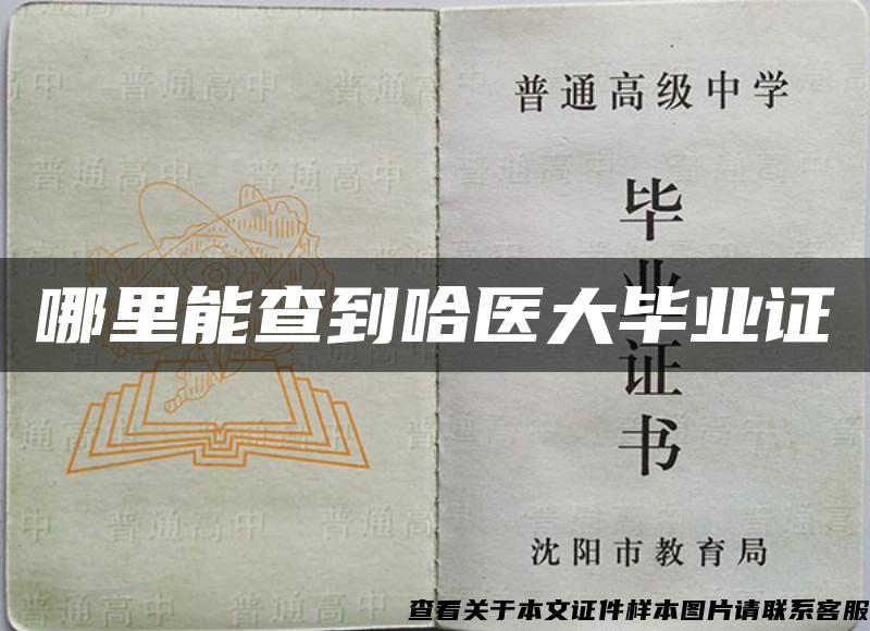 哪里能查到哈醫大畢業證