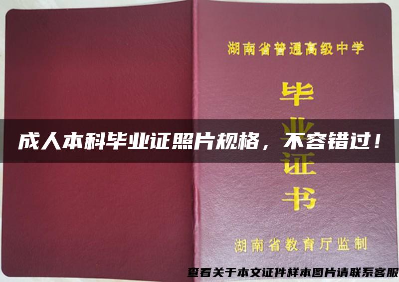 成人本科畢業證照片規格，不容錯過！