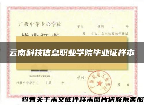 云南科技信息職業學院畢業證樣本