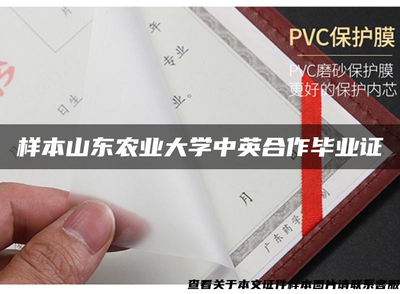 樣本山東農業大學中英合作畢業證
