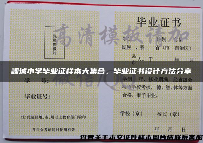 鯉城小學畢業證樣本大集合，畢業證書設計方法分享