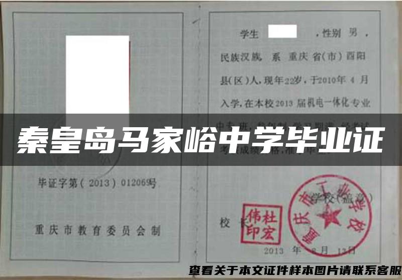 秦皇島馬家峪中學畢業證