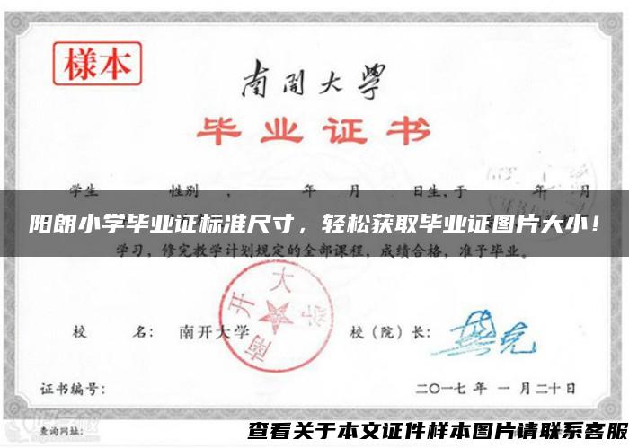 陽朗小學畢業證標準尺寸，輕松獲取畢業證圖片大??！