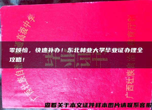 零煩惱，快速補辦！東北林業大學畢業證辦理全攻略！