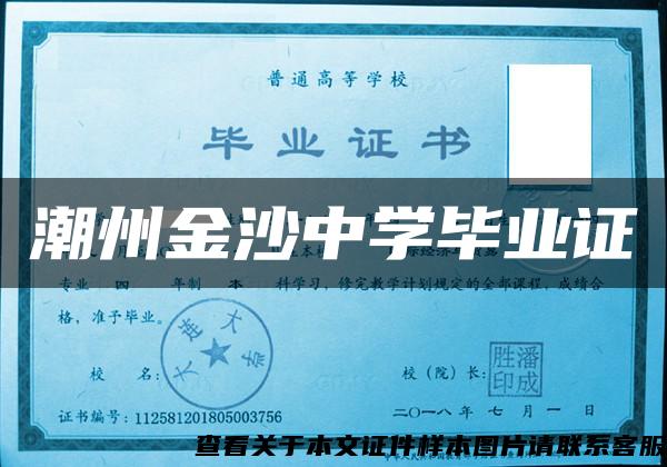 潮州金沙中學畢業證
