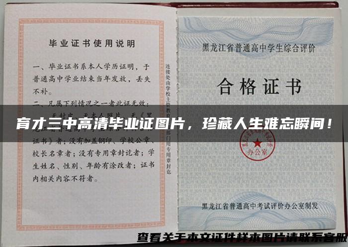 育才三中高清畢業證圖片，珍藏人生難忘瞬間！