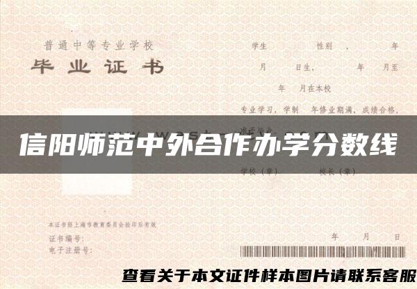 信陽師范中外合作辦學分數線