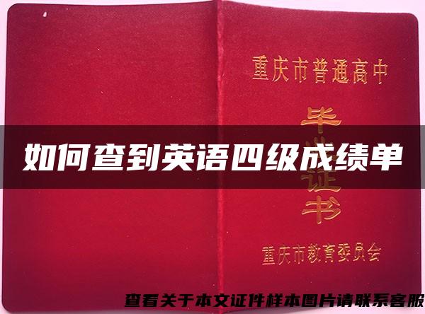 如何查到英語四級成績單