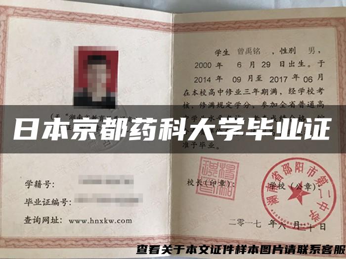 日本京都藥科大學畢業證