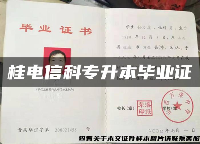 桂電信科專升本畢業證