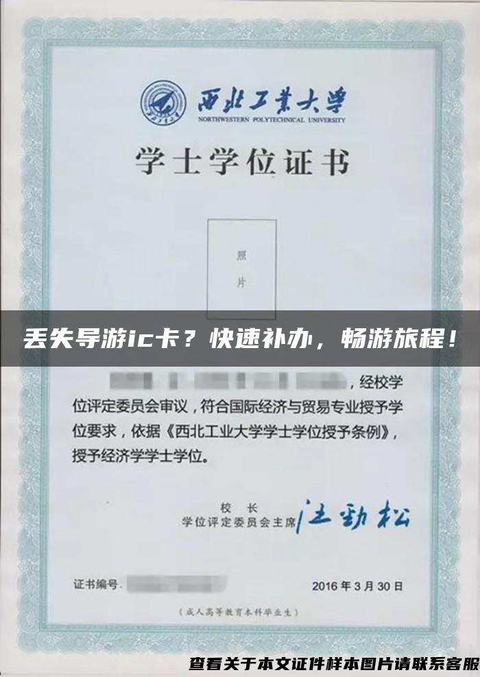 丟失導游ic卡？快速補辦，暢游旅程！