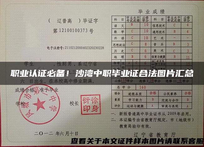 職業認證必備！沙灣中職畢業證合法圖片匯總