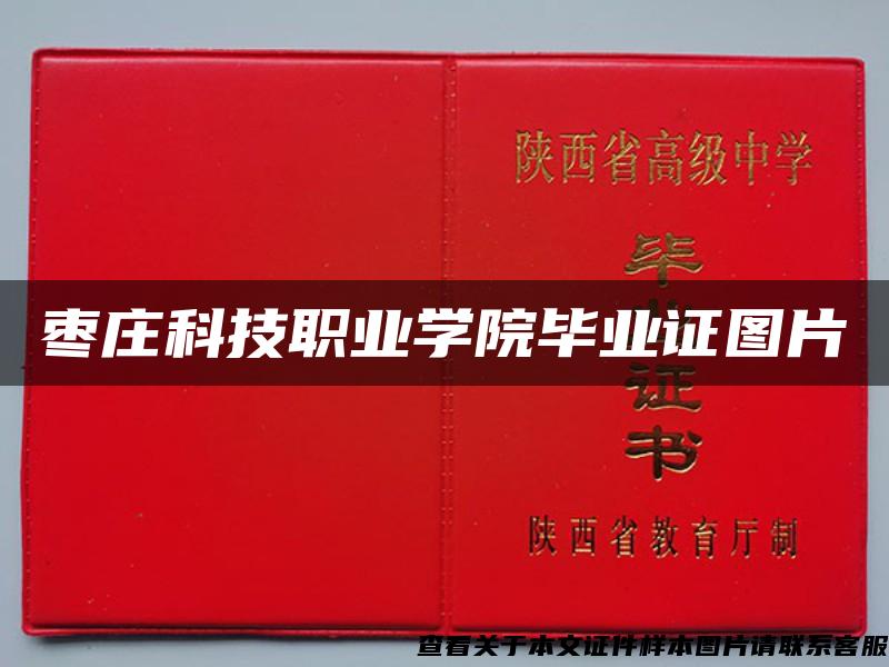 棗莊科技職業學院畢業證圖片