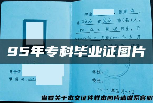 95年?？飘厴I證圖片