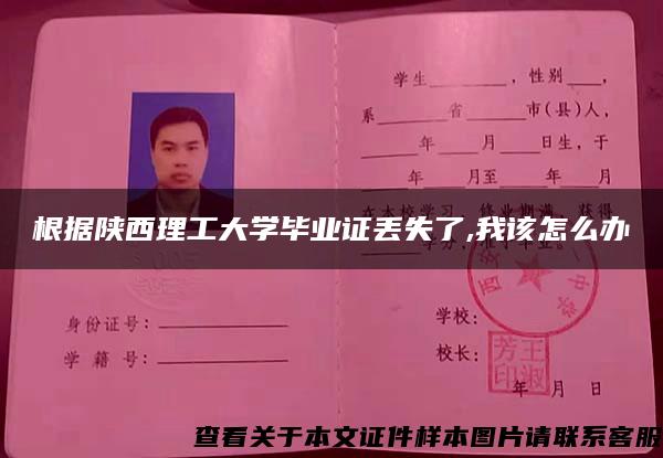 根據陜西理工大學畢業證丟失了,我該怎么辦
