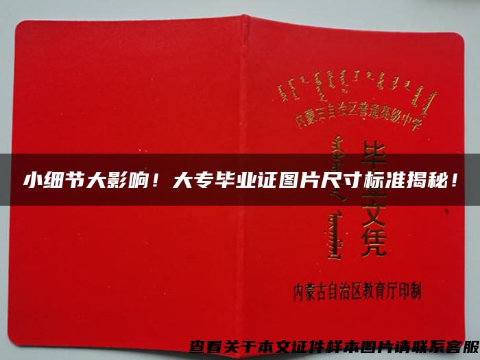 小細節大影響！大專畢業證圖片尺寸標準揭秘！