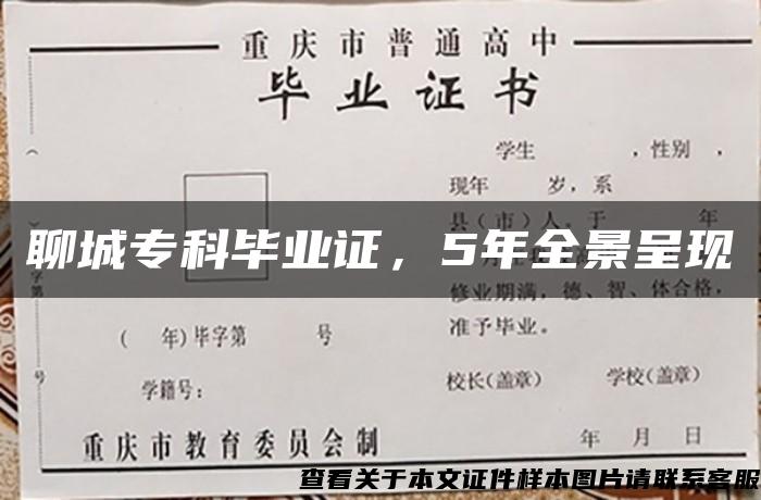 聊城?？飘厴I證，5年全景呈現
