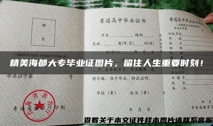 精美海都大專畢業證圖片，留住人生重要時刻！