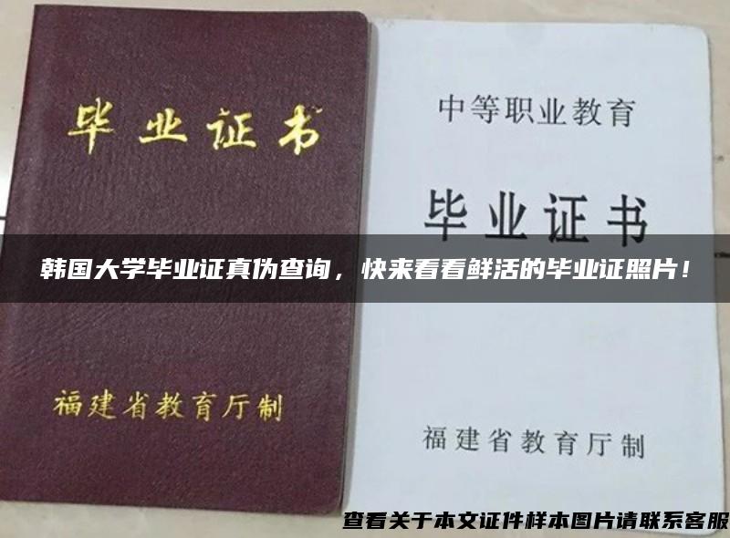 韓國大學畢業證真偽查詢，快來看看鮮活的畢業證照片！