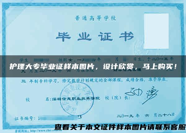 護理大專畢業證樣本圖片，設計欣賞，馬上購買！
