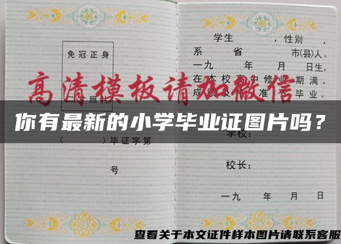 你有最新的小學畢業證圖片嗎？