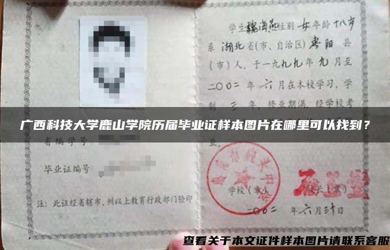 廣西科技大學鹿山學院歷屆畢業證樣本圖片在哪里可以找到？