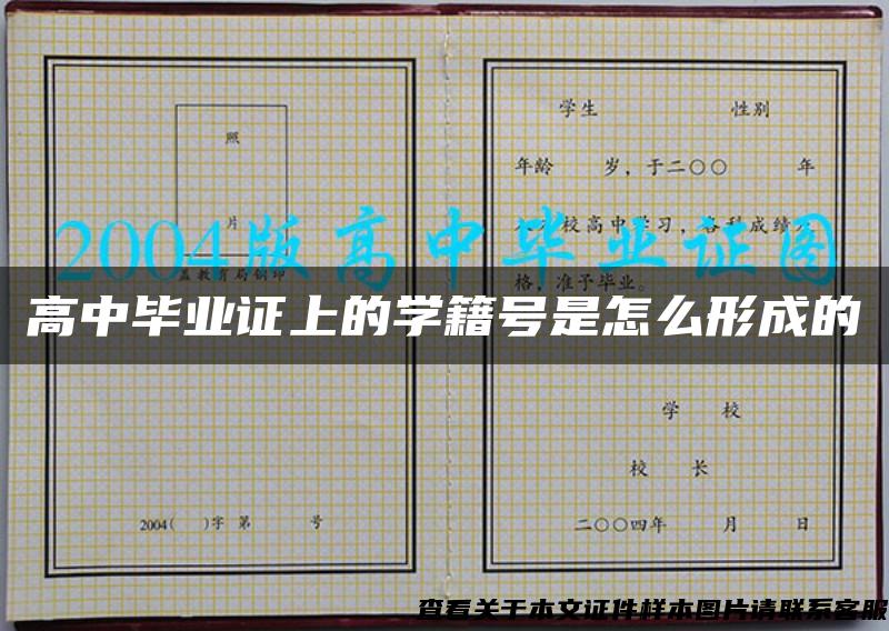 高中畢業證上的學籍號是怎么形成的