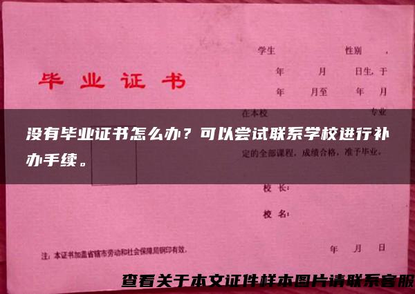 沒有畢業證書怎么辦？可以嘗試聯系學校進行補辦手續。