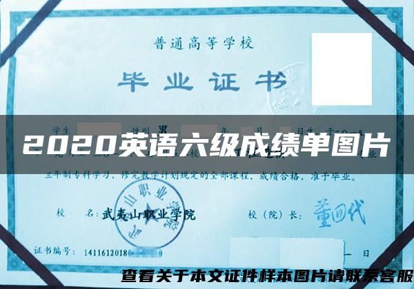 2020英語六級成績單圖片