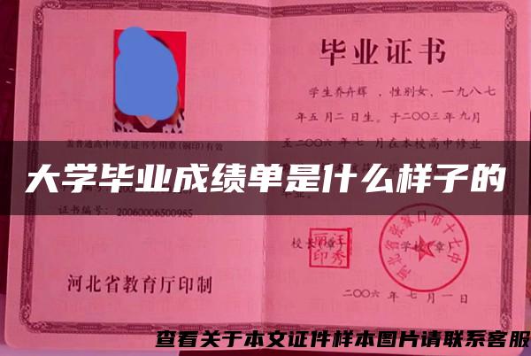 大學畢業成績單是什么樣子的
