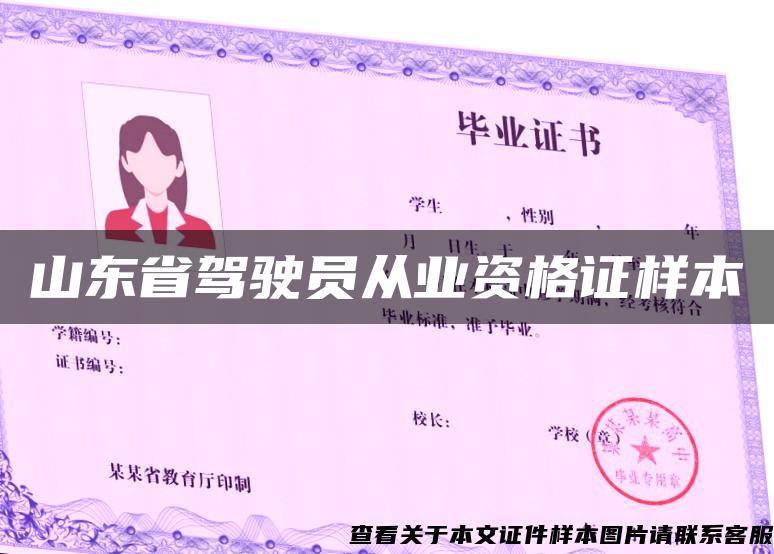 山東省駕駛員從業資格證樣本