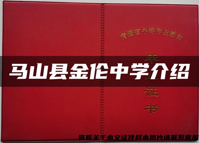 馬山縣金倫中學介紹