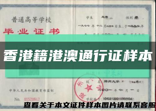 香港籍港澳通行證樣本縮略圖