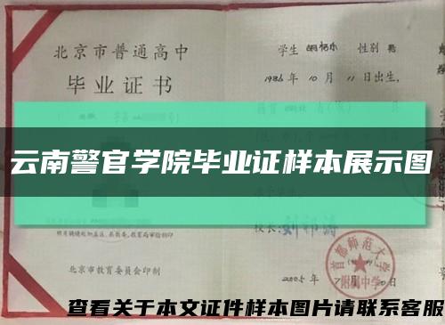 云南警官學院畢業證樣本展示圖縮略圖