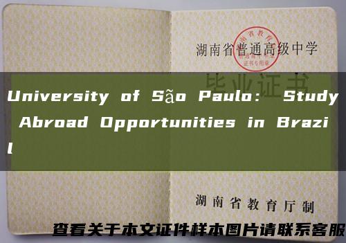 University of S?o Paulo： Study Abroad Opportunities in Brazil縮略圖