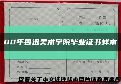 00年魯迅美術學院畢業證書樣本縮略圖