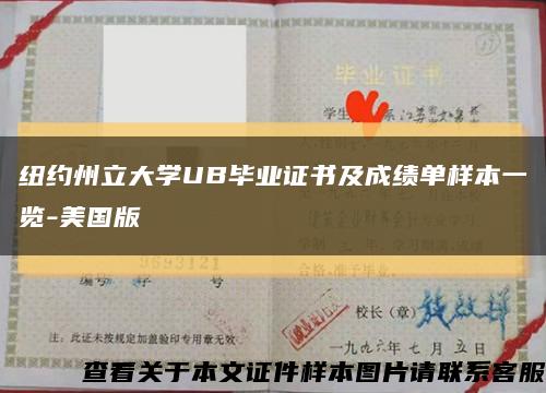紐約州立大學UB畢業證書及成績單樣本一覽-美國版縮略圖