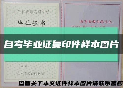 自考畢業證復印件樣本圖片縮略圖