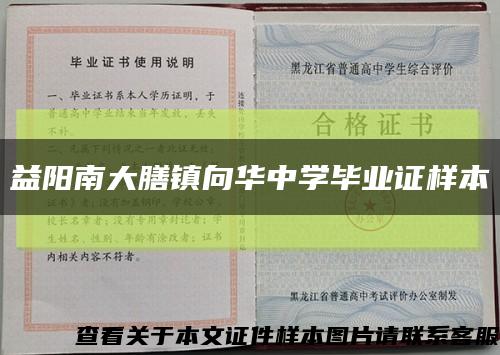 益陽南大膳鎮向華中學畢業證樣本縮略圖