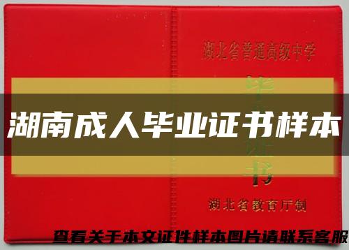 湖南成人畢業證書樣本縮略圖