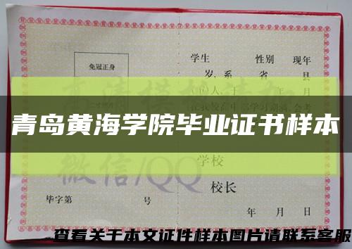 青島黃海學院畢業證書樣本縮略圖