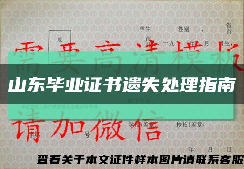 山東畢業證書遺失處理指南縮略圖