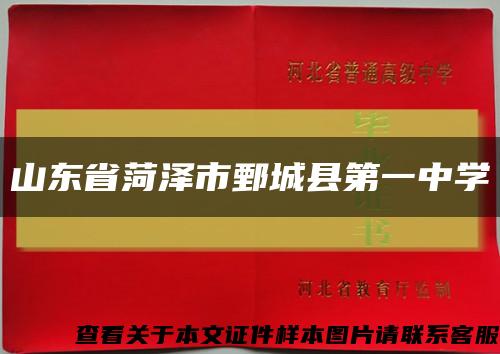 山東省菏澤市鄄城縣第一中學縮略圖