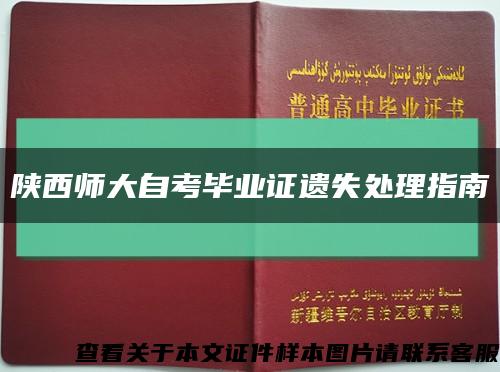 陜西師大自考畢業證遺失處理指南縮略圖