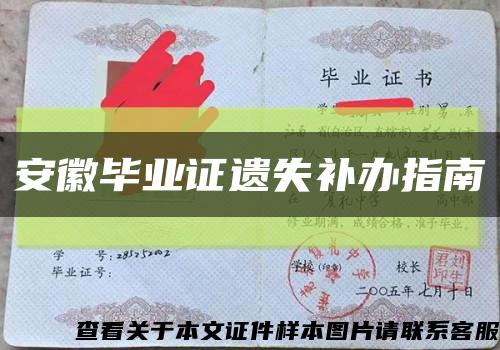 安徽畢業證遺失補辦指南縮略圖