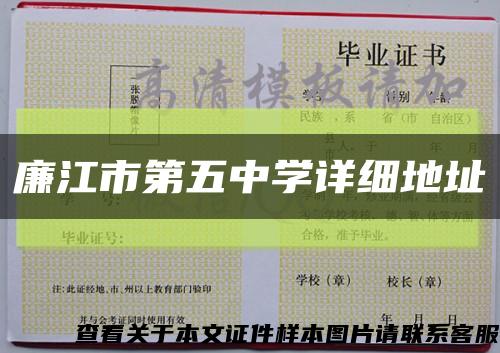 廉江市第五中學詳細地址縮略圖