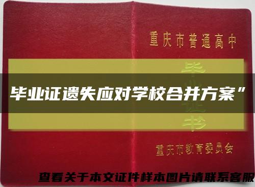 畢業證遺失應對學校合并方案”縮略圖
