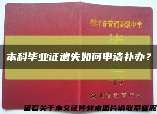 本科畢業證遺失如何申請補辦？縮略圖