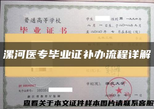 漯河醫專畢業證補辦流程詳解縮略圖